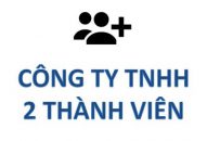 Tư vấn thành lập công ty trách nhiệm hữu hạn 2 thành viên trở lên