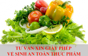 Tư vấn xin cấp Giấy chứng nhận vệ sinh an toàn thực phẩm tại Vĩnh Phúc